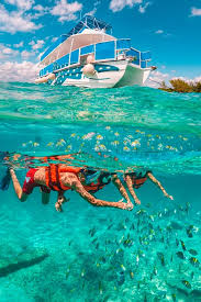 Renta de Equipo de Snorkel